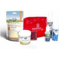 Bellfor Wichtige Produkte für Ihre Hunde-Reiseapotheke als günstiges Sparset