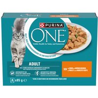 Purina ONE  Nassfutter Katze Adult zarte Stückchen in Sauce 8x85 g