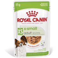 Royal Canin SHN X-Small Adult Gravy 12x85g