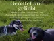 gerettet-und-geliebt-ein-buch-das-bewegt-aufruettelt-und-hoffnung-schenkt
