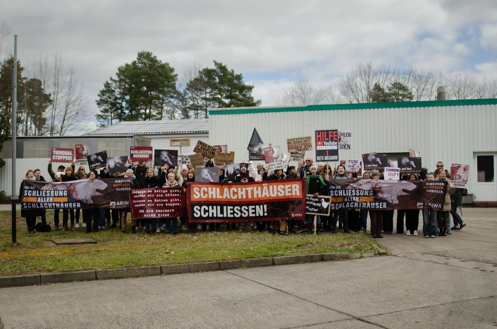 -protest-in-brandenburg-vor-gefluegelschlachthof-tierschuetzer-werfen-behoerden-untaetigkeit-vor