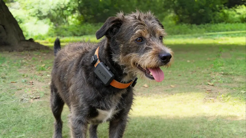 Pet Finder Mini 4G