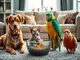 haustiere-ohne-allergie-welche-tiere-sind-geeignet