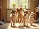 hunde-aus-dem-tierschutz-suchen-dringend-ein-liebevolles-zuhause