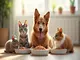 inspirierende-mega-tierernaehrung-fotos-gesundes-futter-glueckliche-tiere