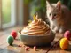 katzenfutter-mousse-eine-koestliche-abwechslung-im-napf