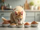 katzenfutter-urinary-so-im-fokus-alles-was-sie-wissen-muessen