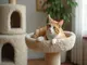 kratzbaum-pluesch-der-gemuetliche-rueckzugsort-fuer-ihre-katze