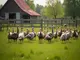 putenhalter-besorgt-ueber-tierschutzurteil-flickenteppich-droht-in-der-branche