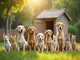 tierschutz-im-fokus-herausforderungen-adoptionen-und-politische-initiativen-in-deutschland