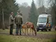 tierschutz-news-razzia-in-wildpark-wegen-moeglicher-verstoesse-gegen-tierschutzgesetz