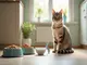 tipps-und-tricks-so-waehlen-sie-das-perfekte-katzenfutter-fuer-indoor-katzen