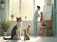 weltkatzentag-neue-regeln-und-tierschutzinitiativen-fuer-katzen-und-andere-tiere